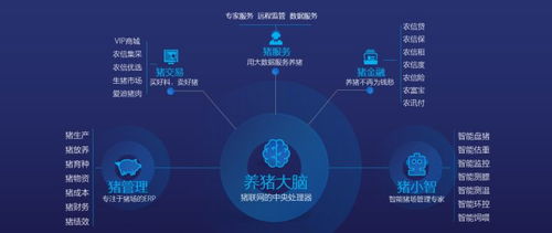 數(shù)據(jù)驅(qū)動(dòng)未來 市場調(diào)查在產(chǎn)業(yè)發(fā)展與企業(yè)根基構(gòu)建中的核心價(jià)值